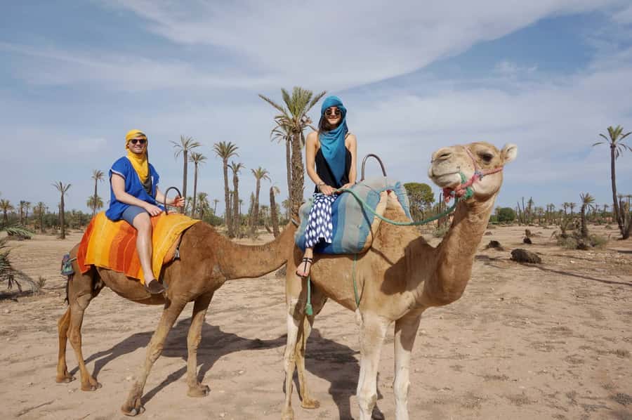 Marrakech Palmeraie: Camel Ride at Sunset - Who this suits best (and who should think twice)