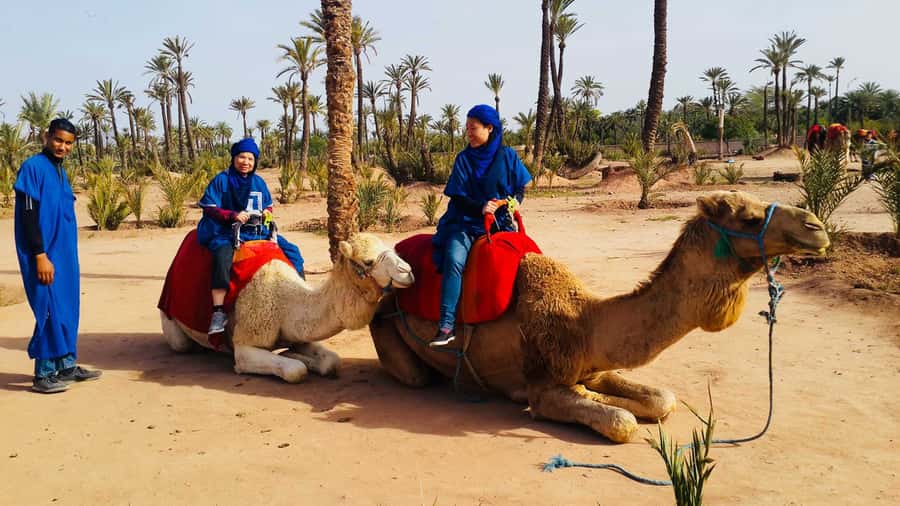 Marrakech Palmeraie: Camel Ride & Quad Bike Experience - Marrakech Palmeraie: The perfect Marrakech “two-speed” day