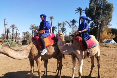 Marrakech Palmeraie: Camel Ride & Quad Bike Experience - Camel ride in La Palmeraie oasis: palms, photos, and a gentle rhythm