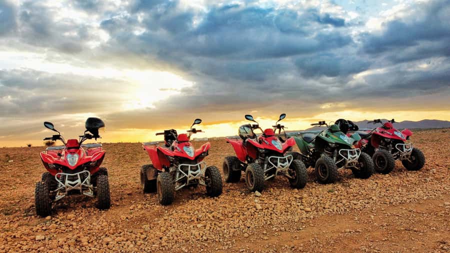 Marrakech: Palmeraie Guided Quad Biking Tour with Tea - Key things to know before you go