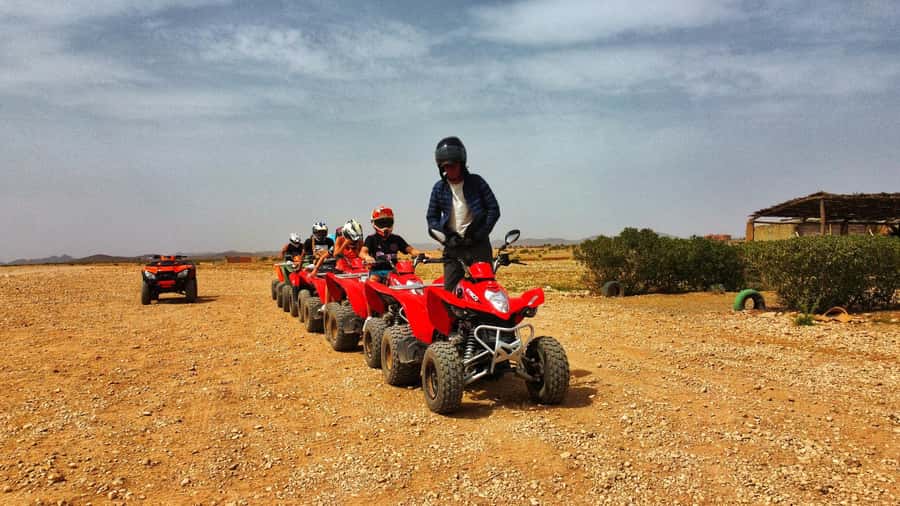 Marrakech: Palmeraie Guided Quad Biking Tour with Tea - Who should book this Palmeraie quad tour