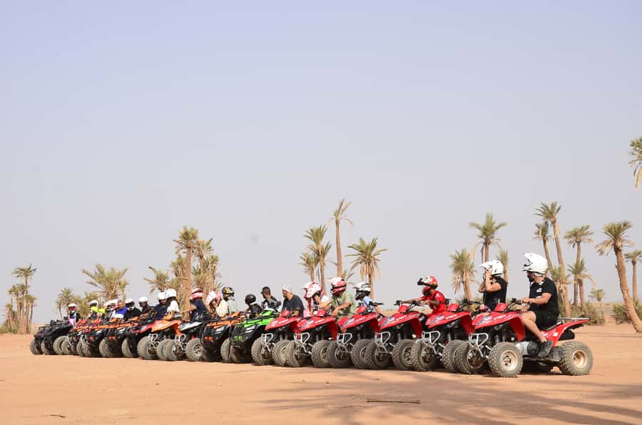 Marrakech: Palmeraie Guided Quad Tour with Tea Break - Tea break and snacks: the Palmeraie reset button