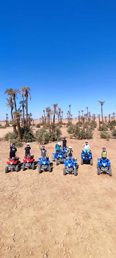 Marrakech: Palmeraie Private Quad Bike Experience - Stop for mint tea at a local house (and what’s included)