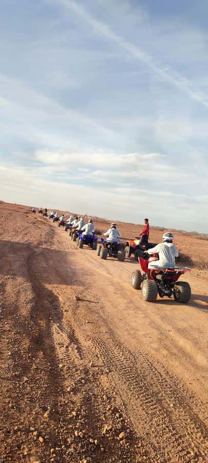 Marrakech: Palmeraie Private Quad Bike Experience - Price and value: what $15 gets you in real terms