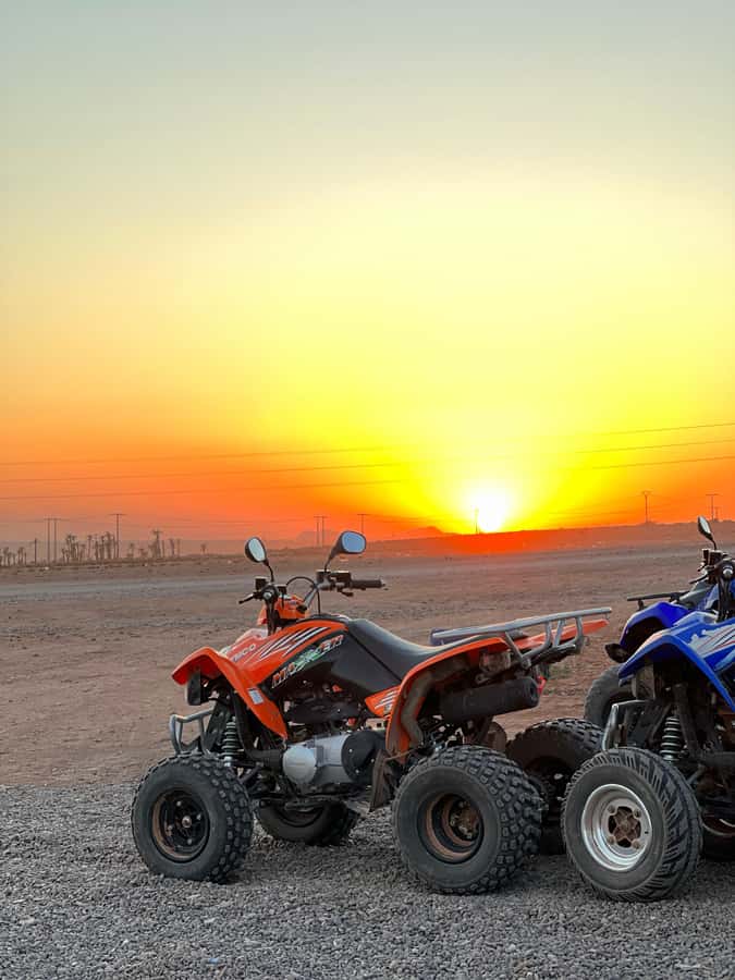 Marrakech: Palmeraie Private Quad Bike Experience - Who this Marrakech quad ride is best for