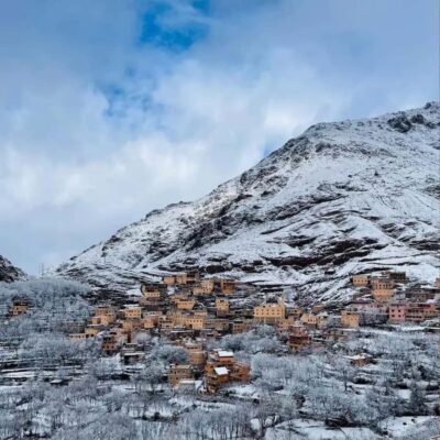 Marrakech: Paragliding, Camel Ride & Berber Villages Trip - Argan Oil Cooperative: What You’re Actually Seeing