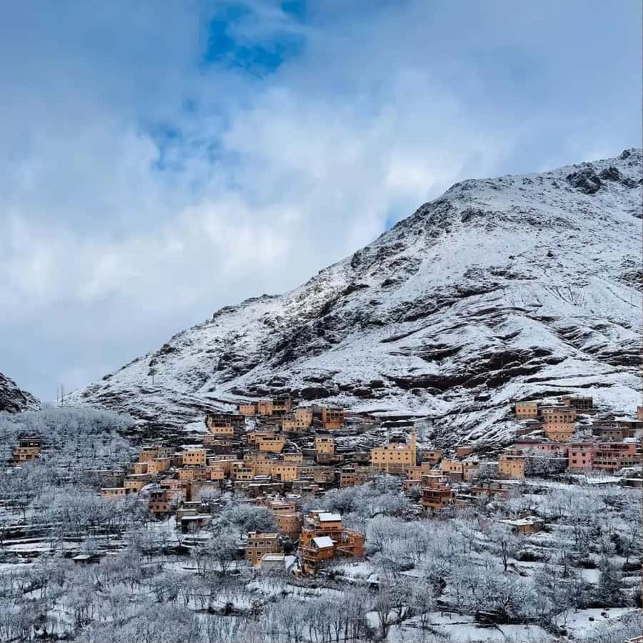 Marrakech: Paragliding, Camel Ride & Berber Villages Trip - Argan Oil Cooperative: What You’re Actually Seeing