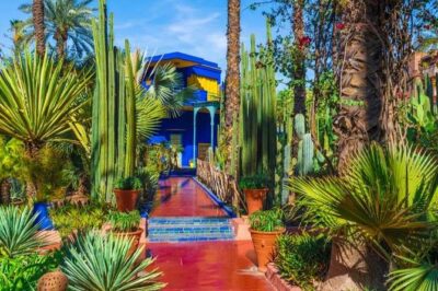 Marrakech: Private Guided Half-Day City Tour - Pickup, Mini-Van Comfort, and Realistic Timing