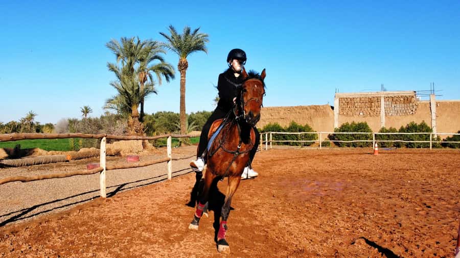Marrakech: Private Horseback Tour in the Palm Grove with Tea - Key things I’d mark on your map