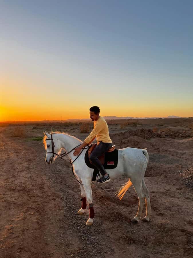 Marrakech: Private Horseback Tour in the Palm Grove with Tea - A Marrakech reset: Palmeraie palms, not city traffic