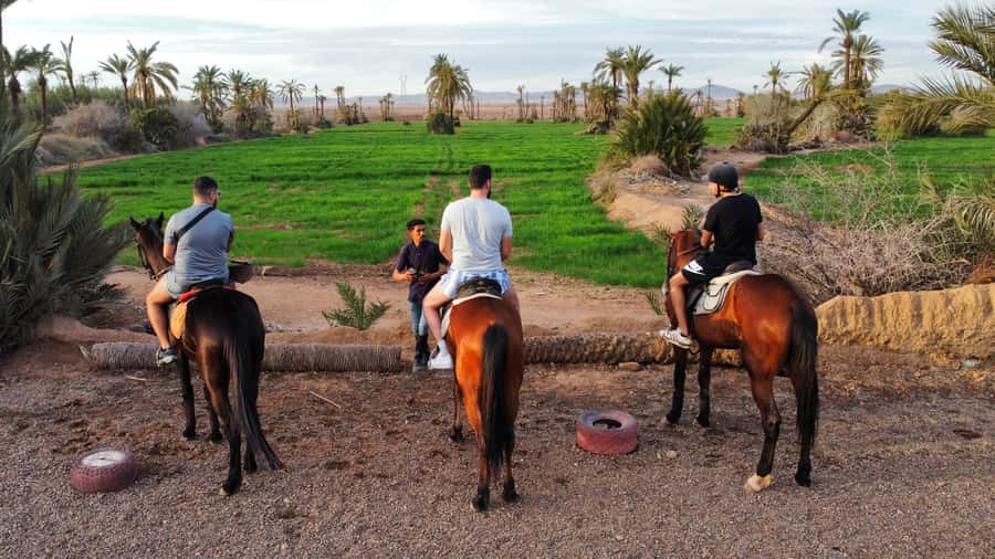 Marrakech: Private Horseback Tour in the Palm Grove with Tea - Your horse match and the practical reality of “beginner friendly”