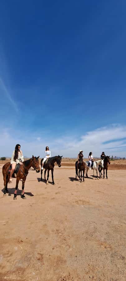 Marrakech: Private Horseback Tour in the Palm Grove with Tea - The tea break: Moroccan mint tea inside the palms