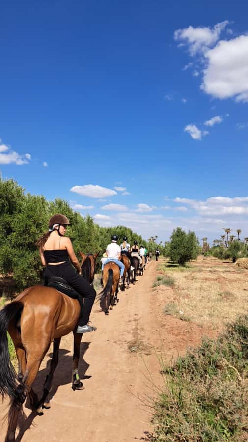 Marrakech: Private Horseback Tour in the Palm Grove with Tea - Getting there: Medina pickup, then a van to the Palmeraie