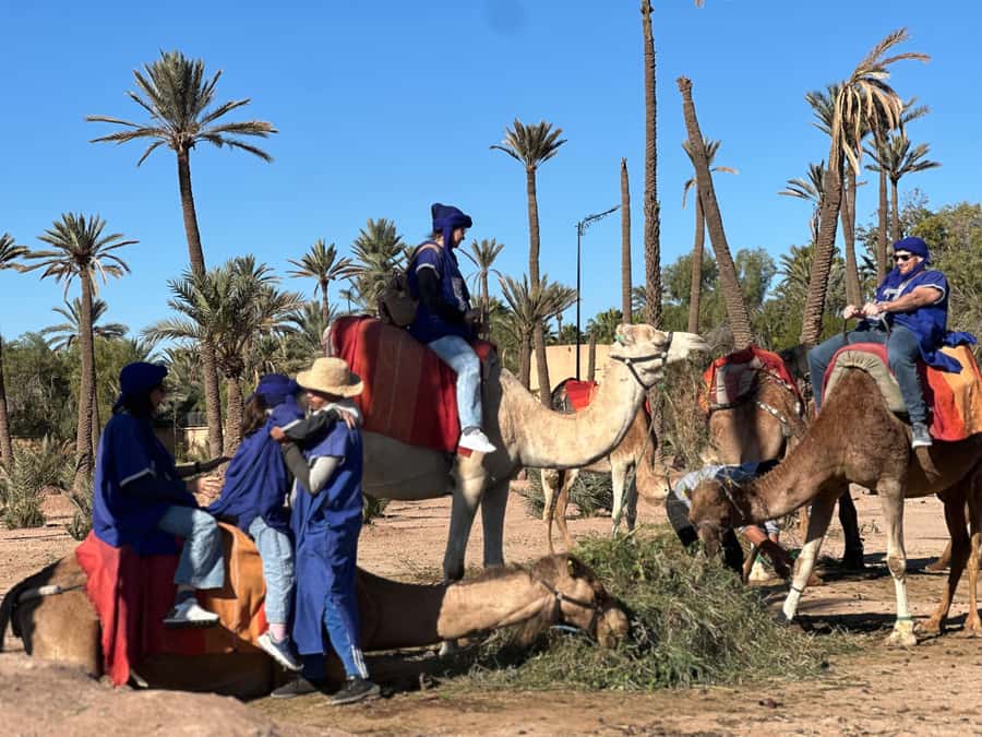 Marrakech: Quad Bike excursion at the sunset with Tea Break - Key Things I’d Plan Around