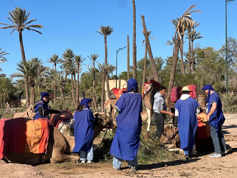 Marrakech: Quad Bike excursion at the sunset with Tea Break - Who This Tour Fits Best (and Who Might Want Another Option)