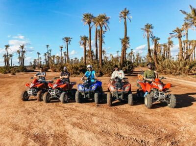 Marrakech: Quad Bike Tour to Palm Oasis and Jbilat Desert - Pickup in Marrakech: door-to-door, with a reality check for the Medina