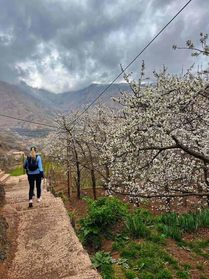 Marrakech: Tedli Summit Atlas Mountains Day Hike & Lunch - Key things to know about the Marrakech Tedli Summit hike