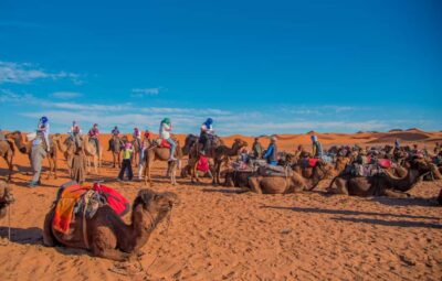Marrakech to Fes: 3-Day Merzouga Desert Camel & Sandboarding - Valley of the Roses and Dades Gorges: Morocco’s Mountain Corridor