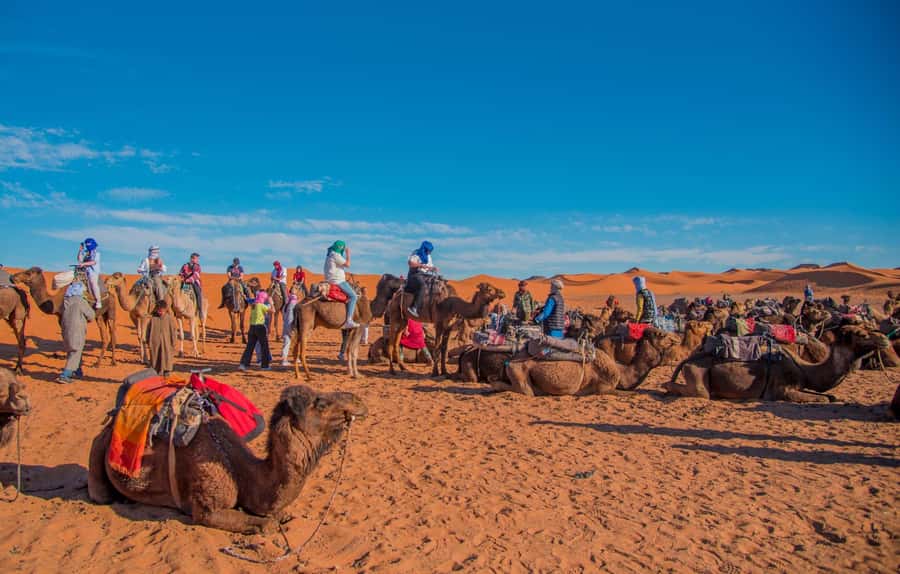 Marrakech to Fes: 3-Day Merzouga Desert Camel & Sandboarding - Valley of the Roses and Dades Gorges: Morocco’s Mountain Corridor