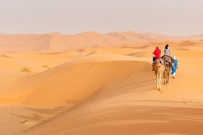 Marrakech to Fez via Merzouga Desert 3-Days Sahara Tour - Entering the High Atlas and Ait Ben Hadou’s film-set walls