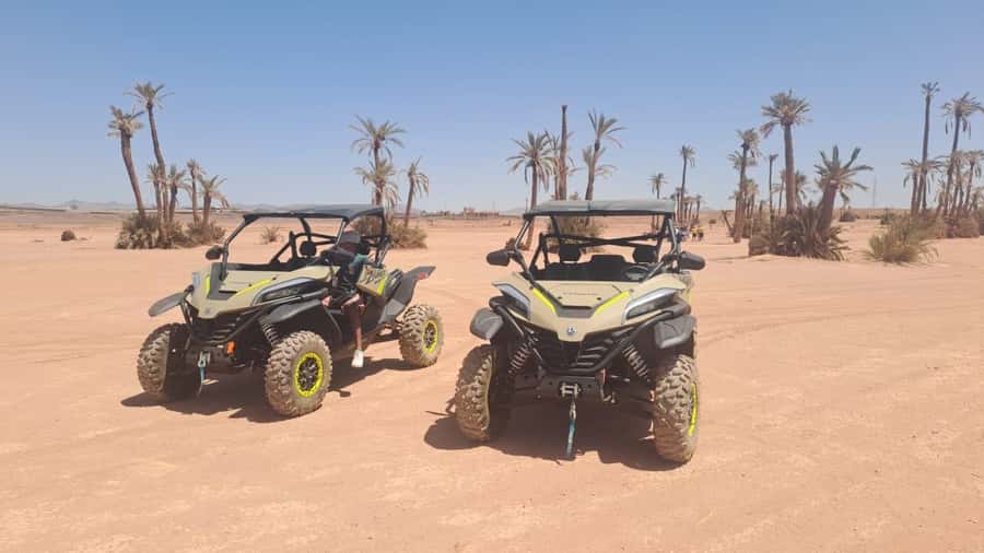 Marrakech: Tour Buggy 1000cc In Palm Oasis and Jbilat Desert - Buggy basics and the 1000cc feel (with one important safety reality)