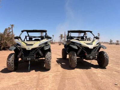 Marrakech: Tour Buggy 1000cc In Palm Oasis and Jbilat Desert - Palmeraie stop: the calm reset before the throttle