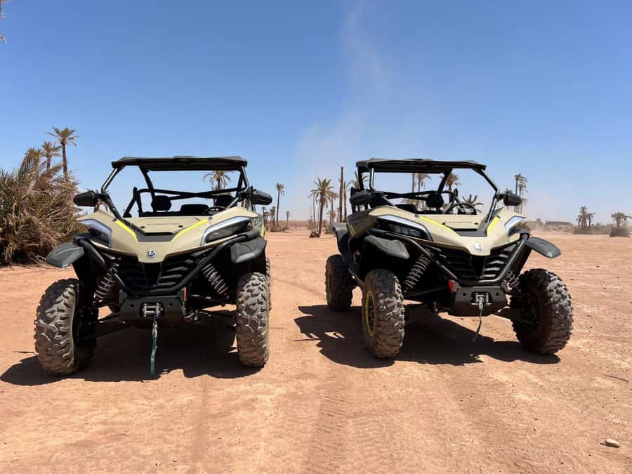 Marrakech: Tour Buggy 1000cc In Palm Oasis and Jbilat Desert - Palmeraie stop: the calm reset before the throttle