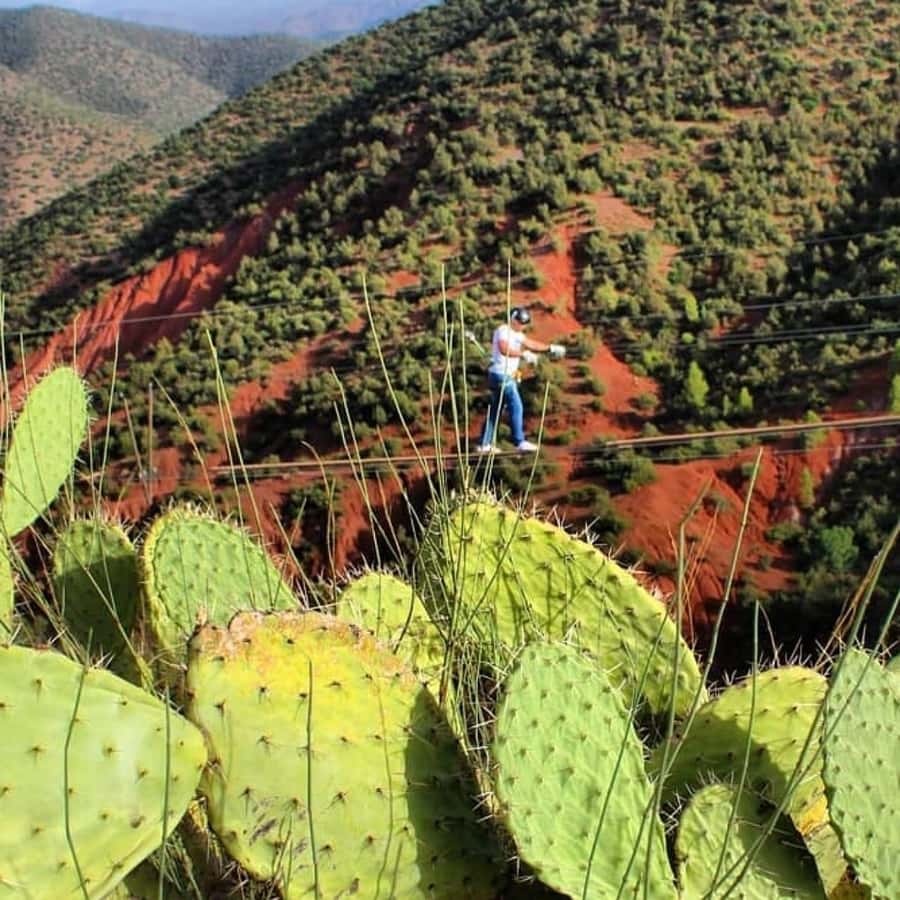 Marrakech: Zipline and Breakfast in the Atlas Mountains - The Timing: What a 4-Hour Trip Feels Like