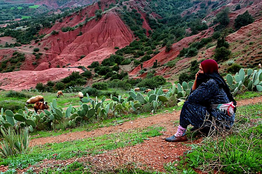 Marrakech: Zipline and Breakfast in the Atlas Mountains - Tips to Have a Smooth Morning (So You Enjoy It)
