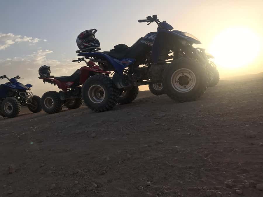 Marrakesh: Agafay Desert Quad & Camel Tour with Dinner - Who Should Book This Agafay Quad and Camel Tour?