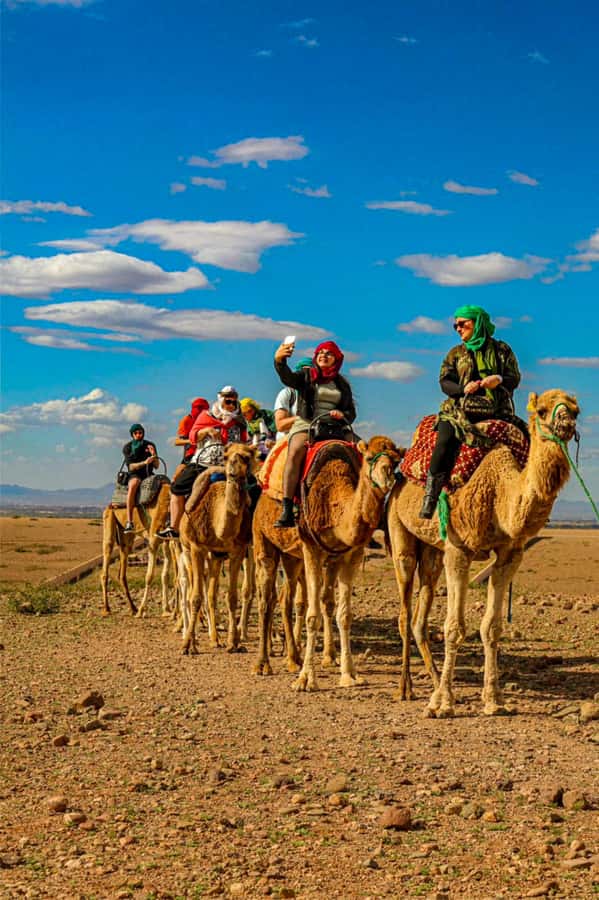 Marrakesh: Agafay Desert Sunset, Camel Ride, and Dinner Show - Agafay Desert Sunset Dinner: A 5-Hour Escape That Actually Feels Moroccan