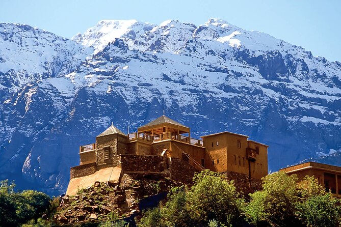 Marrakesh: Atlas Mountains, Imlil Valley & Waterfalls Tour - Key reasons this Atlas & Imlil day trip earns nearly-perfect scores