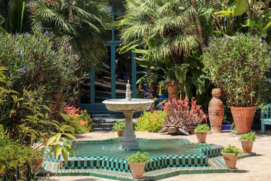 Marrakesh: Majorelle Garden Entry Tickets - On-site amenities: café stops and photo sanity