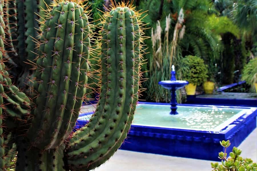 Marrakesh: Majorelle Garden Entry Tickets - Getting your QR entry right: what’s included and what isn’t