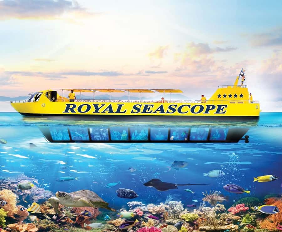 Marsa Alam: Royal Seascope Submarine Cruise with Pickup - Yellow Semi-Submarine Reality Check: What You See and How