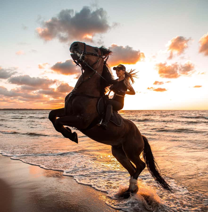 Marsa Alam: Sea and Desert Horse Riding Tour - Key highlights at a glance
