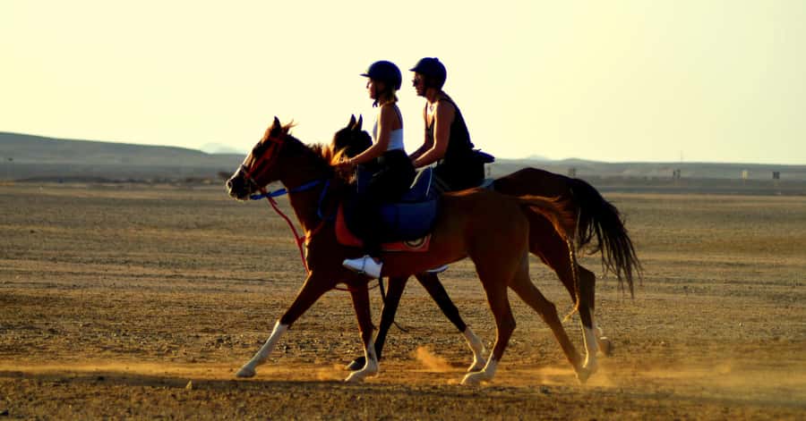 Marsa Alam: Sea and Desert Horse Riding Tour - Marsa Alam Horseback: Desert Dunes Meet Red Sea Shore Views