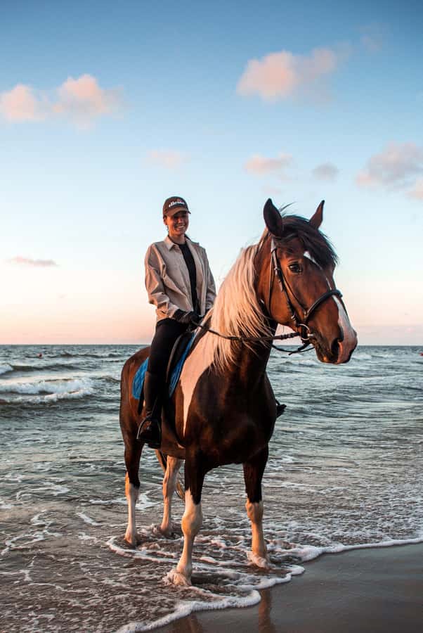 Marsa Alam: Sea and Desert Horse Riding Tour - Your 2-Hour Horse Riding Route: Desert Trails and Coastal Paths