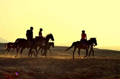 Marsa Alam: Sea and Desert Horse Riding Tour - Starting at the Stables: Safety Briefing and a Quick Horse Check