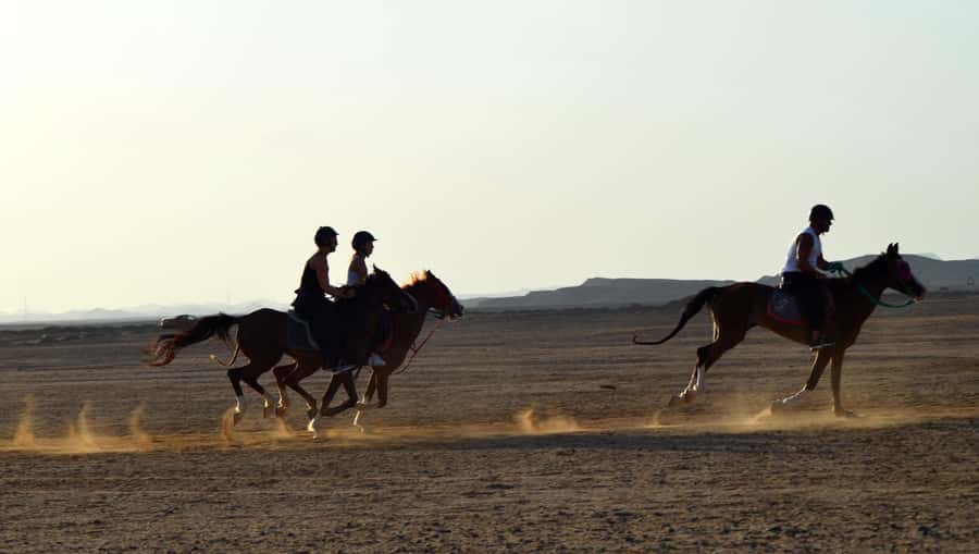 Marsa Alam: Sea and Desert Horse Riding Tour - Sunrise Riding and the Oriental Breakfast Moment