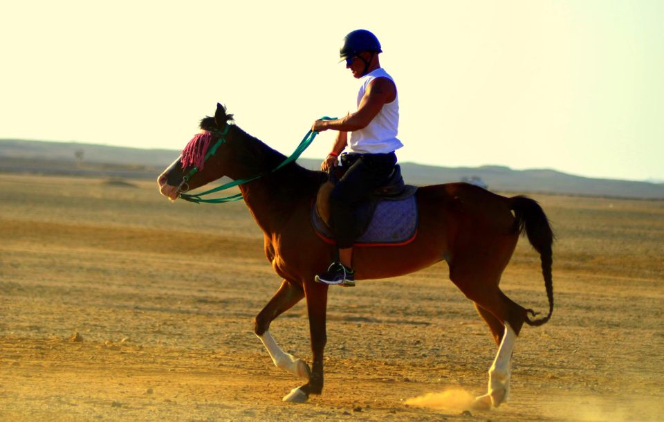 Marsa Alam: Sea and Desert Horse Riding Tour - Pickup From Coraya Bay, Port Ghalib, Abu Dabbab, and Marsa Alam City