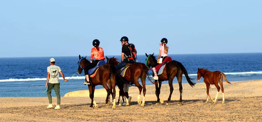 Marsa Alam: Sea and Desert Horse Riding Tour - Price Value at Around $33: What You’re Really Paying For