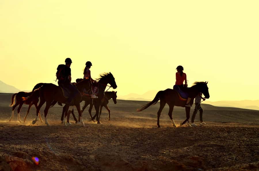 Marsa Alam: Sea and Desert Horse Riding Tour - Starting at the Stables: Safety Briefing and a Quick Horse Check
