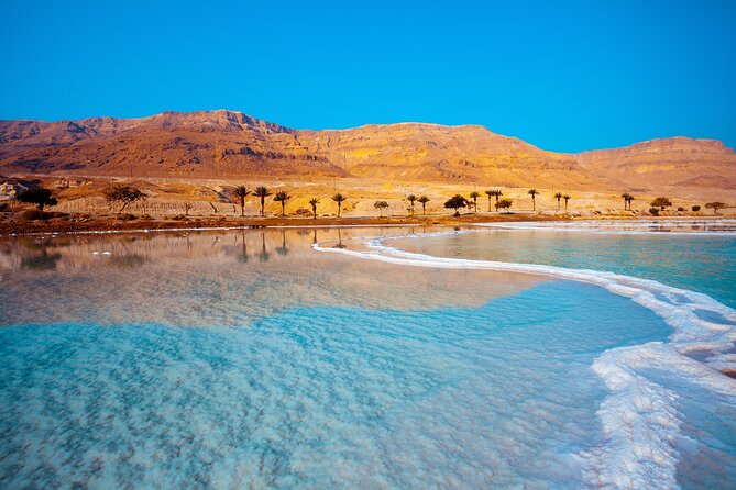 Masada, Ein Gedi, and The Dead Sea from Tel Aviv - Ein Gedi Nature Reserve: Desert Oasis Hike With Real Animal Chances