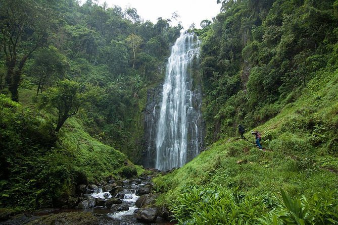 Materuni Waterfalls, coffee tour & Kikuletwa Hot Springs - Key things I’d circle before booking