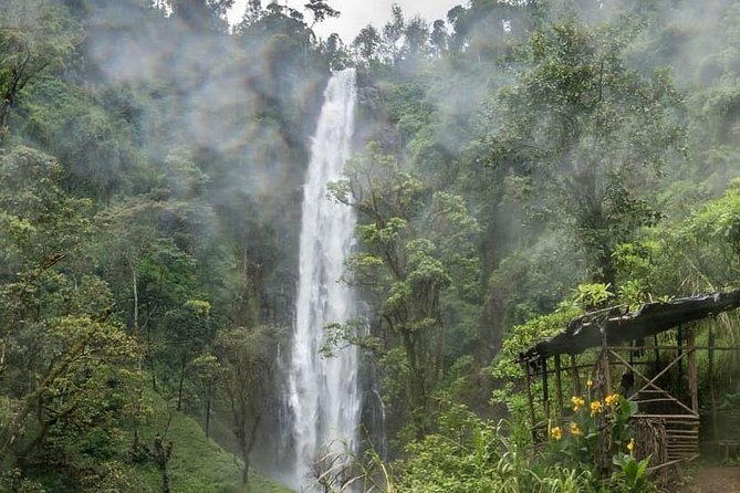 Materuni Waterfalls, coffee tour & Kikuletwa Hot Springs - Guides and group size: why private matters on muddy trails