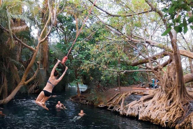 Materuni Waterfalls, coffee tour & Kikuletwa Hot Springs - Where this tour fits best (and where it might not)