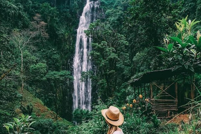 Materuni Waterfalls, coffee tour & Kikuletwa Hot Springs - Kikuletwa Hot Springs (Chemka): clear water, deep spots, and a late return