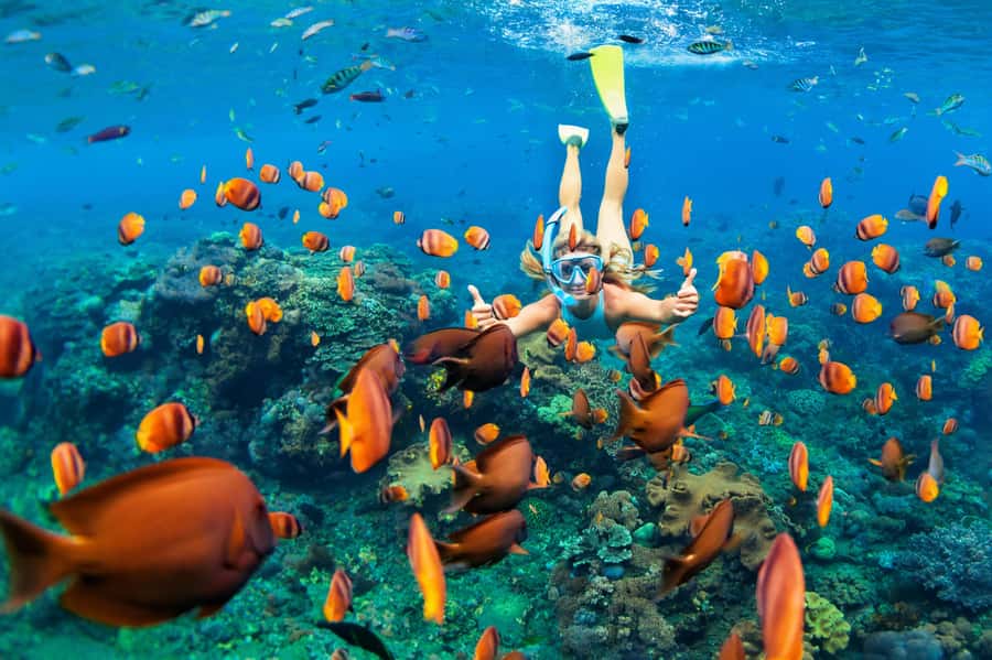 Mauritius: 5 East Coast Islands Tour with Snorkeling & Lunch - Trou d’Eau Douce start: the meeting point and how pickup affects your day