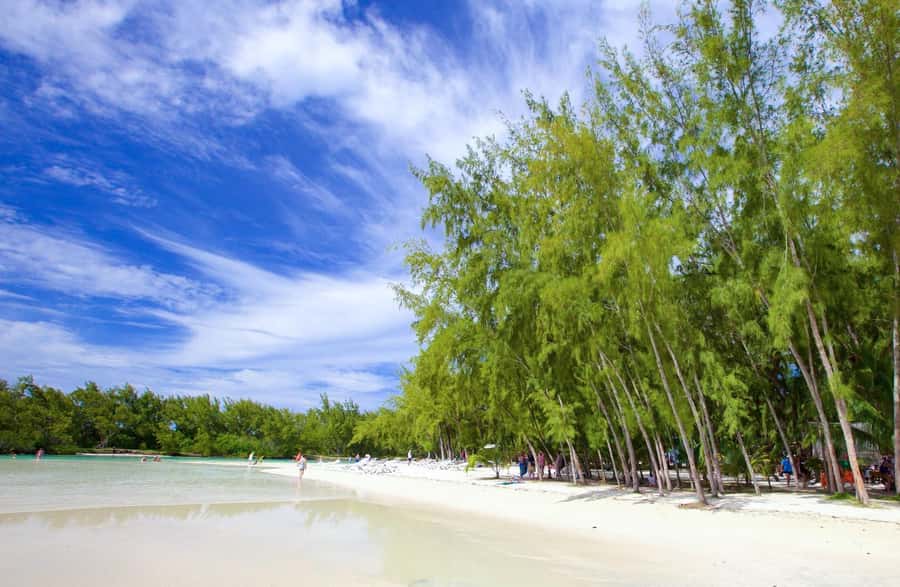 Mauritius: Catamaran Cruise to Ile Aux Cerfs with BBQ Lunch - Key highlights at a glance